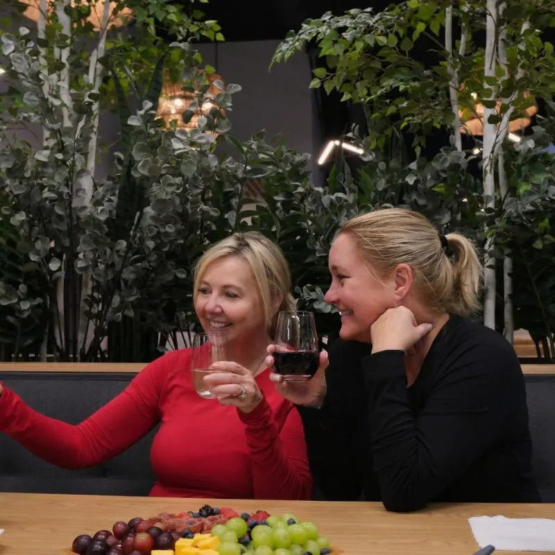 Two friends toasting with wine
